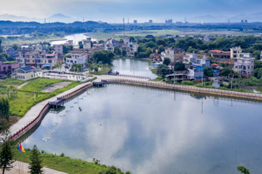 水生態(tài)治理工程